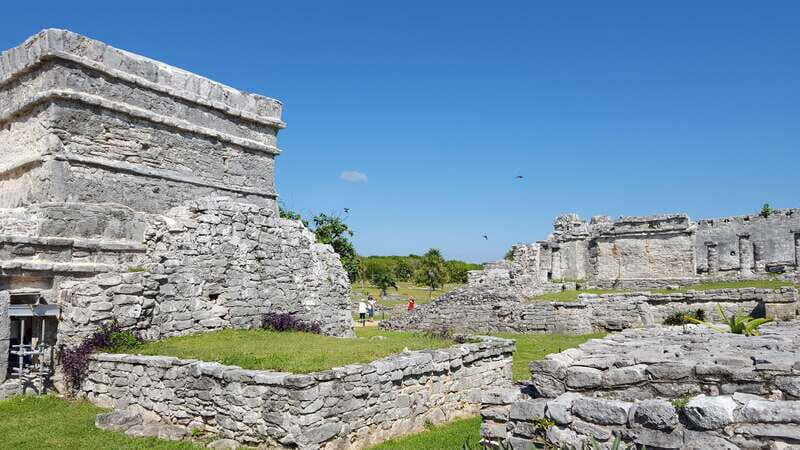Tulum: Guided Bike Tour of Tulum Ruins, Tacos & Cenote - Who Will Enjoy This Tour?
