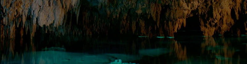 Tulum: Half-Day Jungle ATV Adventure Tour - Final Thoughts: Who Will Love This Tour?