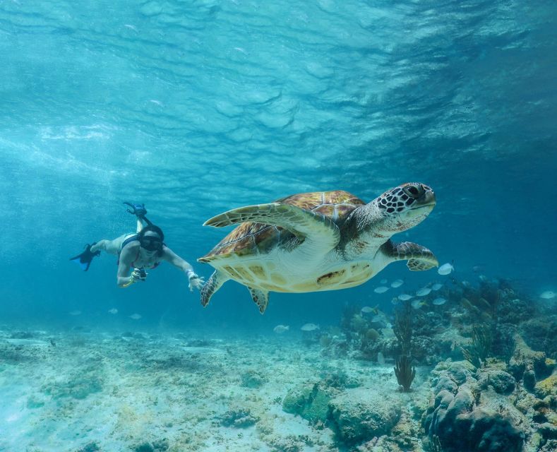 Tulum: Half-Day Luxury Sailing Experience With Open Bar - Reviews