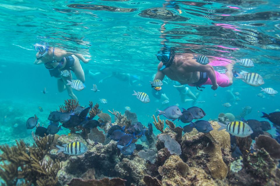 Tulum: Half-Day Luxury Sailing Experience With Open Bar - Itinerary