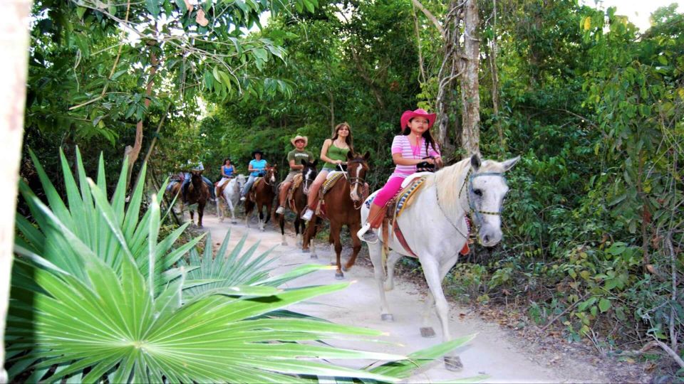 Tulum: Horseback Riding in the Jungle W/ Transfers and Lunch - Wildlife Spotting Opportunities