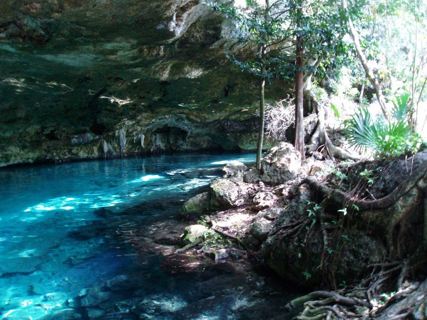 Tulum: Horseback Riding in the Jungle W/ Transfers and Lunch - Transportation and Transfers