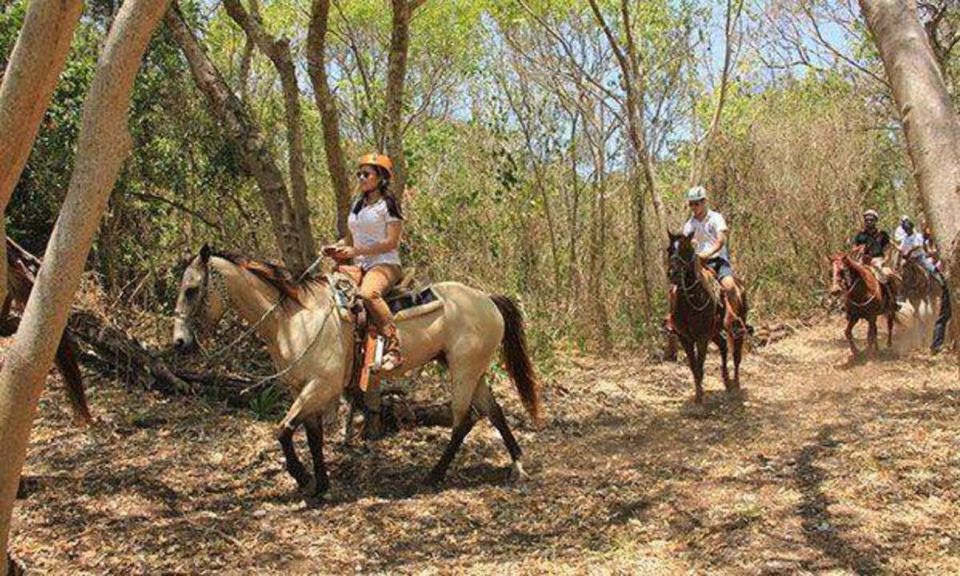 Tulum: Horseback Riding in the Jungle W/ Transfers and Lunch - Included Amenities