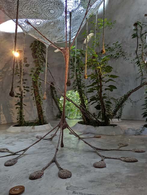 Tulum Instagram: Giant Sculpture, Cenote Atik & City of Arts - The Sum Up: Who Benefits Most?