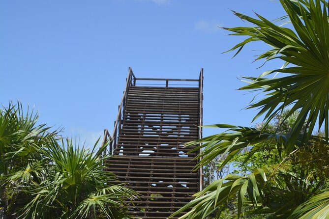 TULUM Jaguar Park Day Pass - An In-Depth Look at the TULUM Jaguar Park Experience