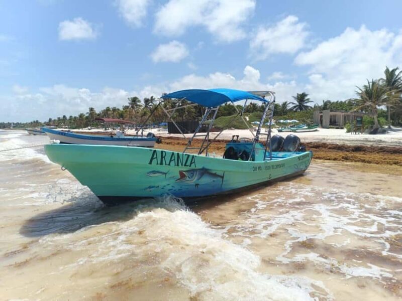 Tulum Jaguar Park Day Pass: snorkeling, lunch at the beach, and exploring the area - Final Thoughts: Is It Worth It?