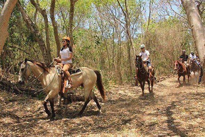 Tulum Jungle Horseback Ride + ATV + Ziplines + Cenote Combo Tour - Who Will Love This Experience?