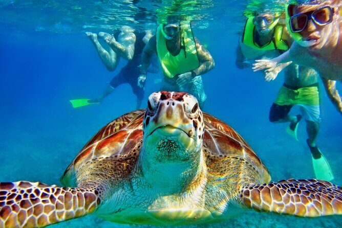 Tulum Mayan Ruins and Snorkeling with Turtles at Akumal - A Closer Look at the Itinerary