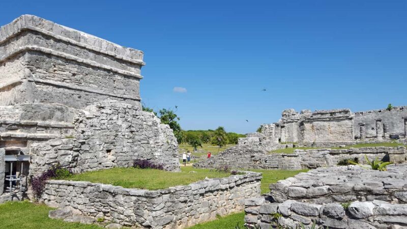 Tulum: Mayan Ruins & Sian Kaan Tour with Boat Ride and Lunch - Authentic Experiences and Traveler Feedback