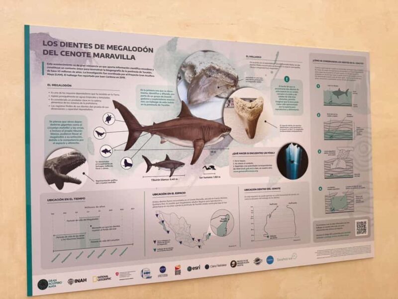 Tulum: Mayan Ruins, Snorkeling, and Jaguar Park Tour - FAQ