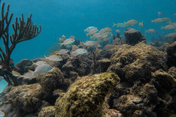 Tulum Mayan Ruins with Cenote and Yalku Lagoon Adventure - Final Thoughts