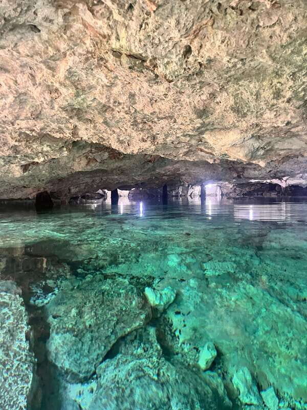 Tulum Mexico; Cave snorkeling and cliff jumping Tour - Authenticity and Traveler Feedback