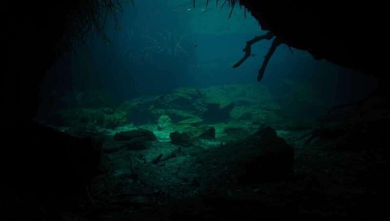 Tulum Mexico: Cenote Triple Adventure Tour - Who Will Enjoy This Tour?