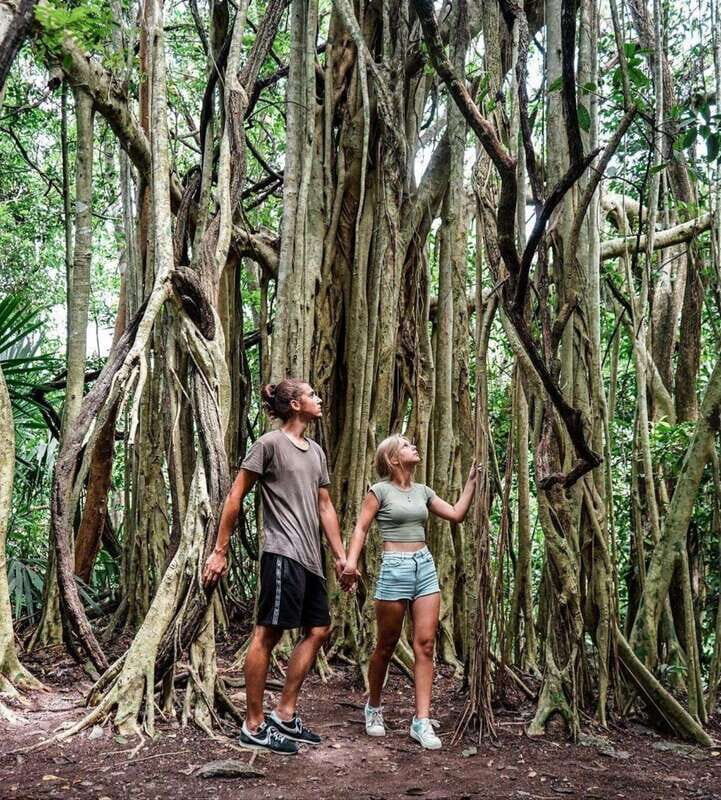 Tulum: Monkey Sanctuary Adventure - Key Points