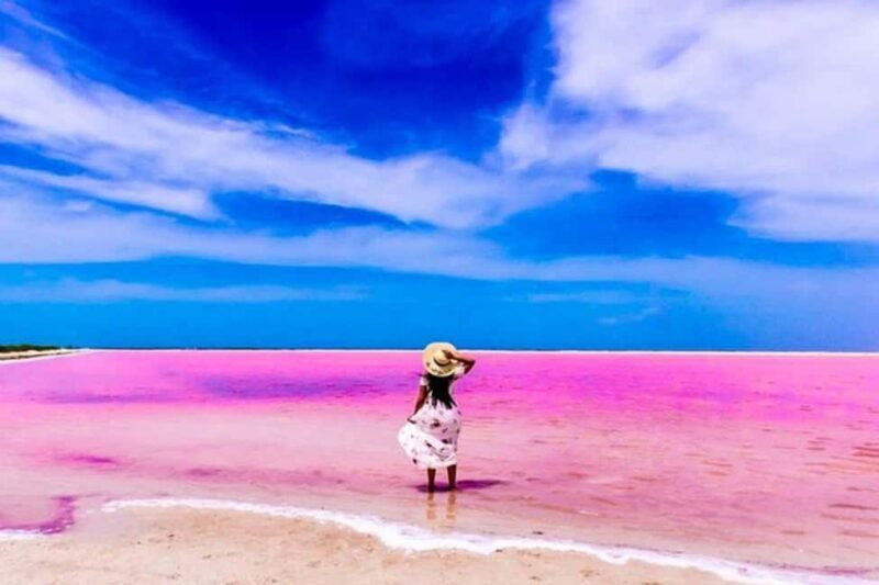 Tulum: Pink Lake, Rio Lagartos, Crocodile Flamingo Adventure - Group Size and Duration