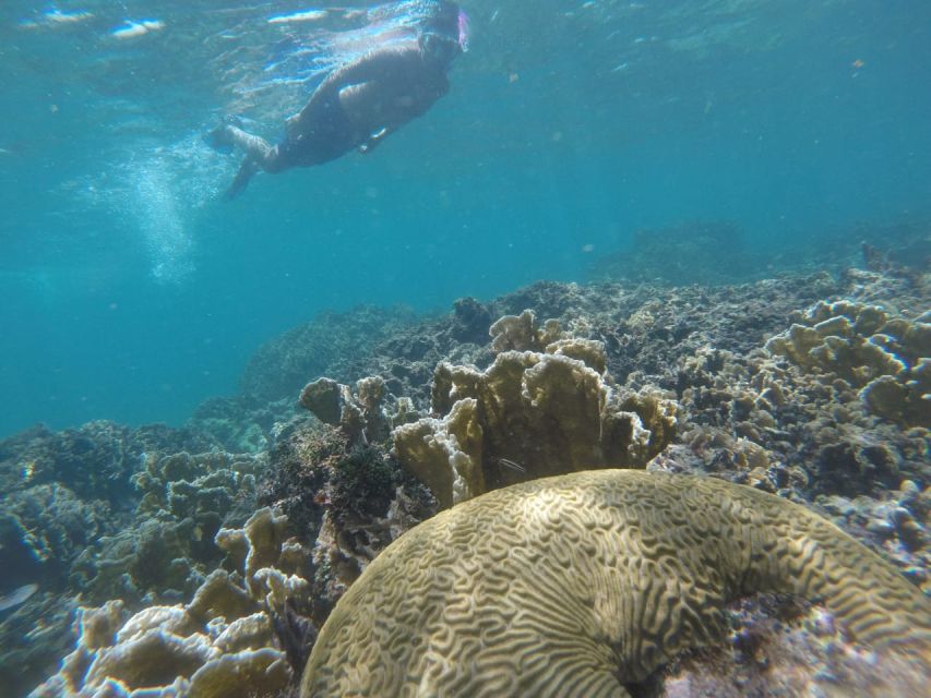Tulum: Private Snorkel and Sailing Experience - Frequently Asked Questions