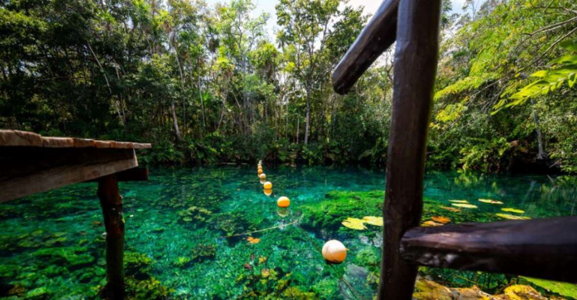 Tulum: Private Tulum Ruins Tour & Mayan Village Adventure - Cenote Swimming Experience