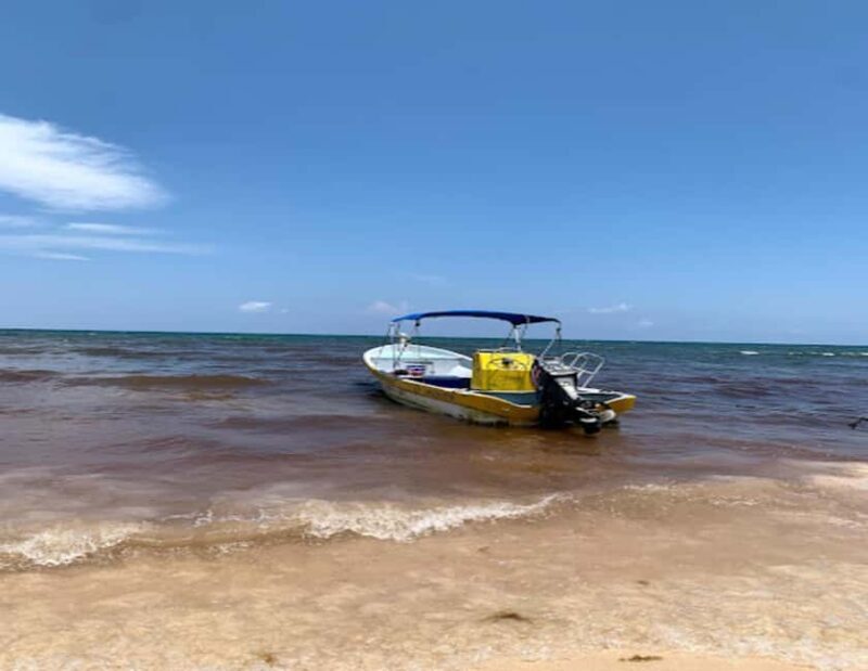 Tulum: Reef Snorkel Tour - Tulum: Reef Snorkel Tour — A Close Encounter with the Second Largest Reef