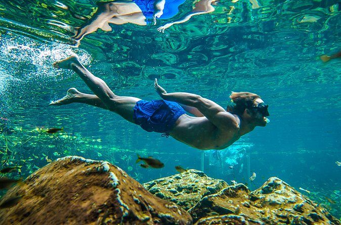 Tulum Ruinas and Tortugas Express - The Experience: Pros and Cons