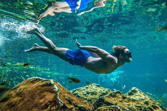 Tulum Ruinas and Tortugas Express - FAQ