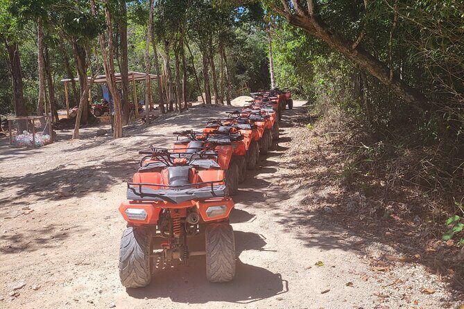 Tulum Ruins ATV Adventure and Cenote Swim with Mexican Food - Who Will Love This Tour?