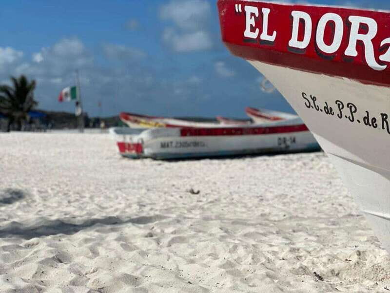 Tulum: Ruins by Boat, Swim with Turtles & Cenote Tour - Who This Tour Is Best For