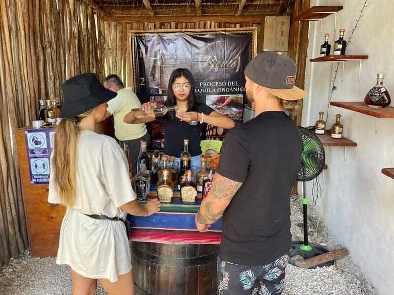 Tulum: Ruins by Boat, Swim with Turtles & Cenote Tour - Final Thoughts