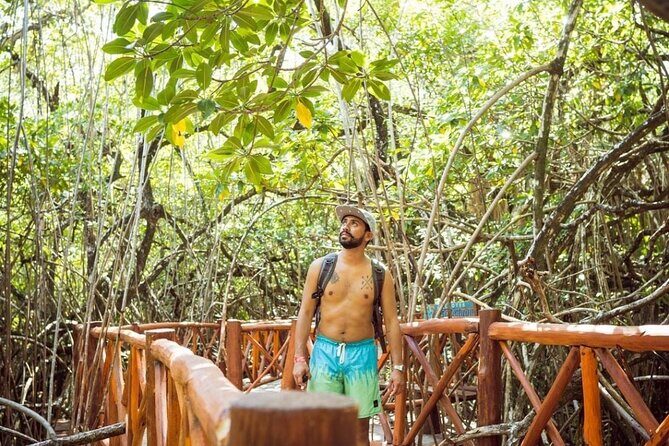 Tulum Ruins & Casa Tortuga Eco Adventure! 4 Cenotes from Tulum City - Who Will Love This Tour?