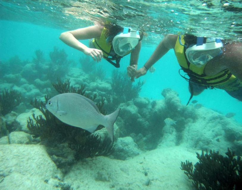 Tulum: Ruins, Cenote and Turtle Snorkel Day Trip With Lunch - Included Lunch and Drinks