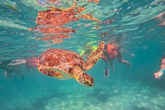 Tulum Ruins, Sea Turtles & Cenote Snorkeling Adventure Tour - Tulum Ruins, Sea Turtles & Cenote Snorkeling Adventure Tour: An In-Depth Review