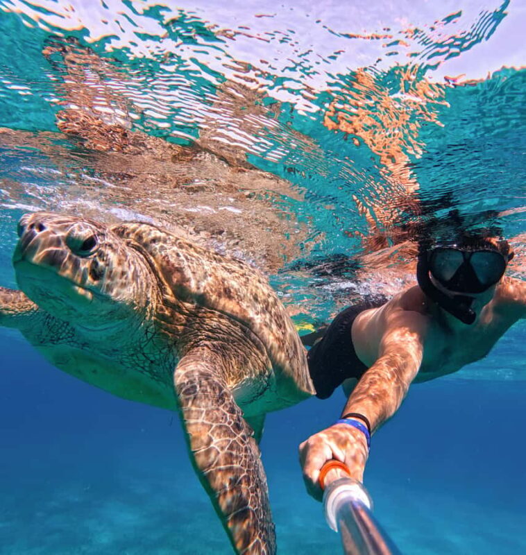 Tulum ruins, snorkel at the reef, and cenote - A Deep Dive into the Experience