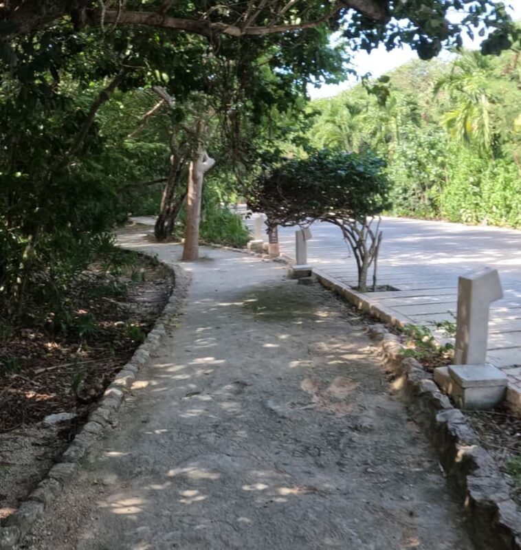 Tulum ruins, snorkel at the reef, and cenote - Final Thoughts