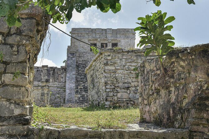 Tulum Ruins, Turtles in Akumal and Cenote tour - Transportation and Group Size