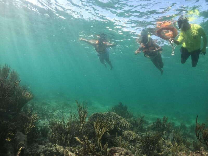 Tulum: Sailing tour - Who Will Love This Tour?