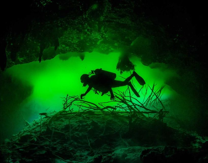 Tulum: Scuba Dive in 2 Cenotes, Including a Deep One Called Pit Dos Ojos - Exploring the Halocline Phenomenon