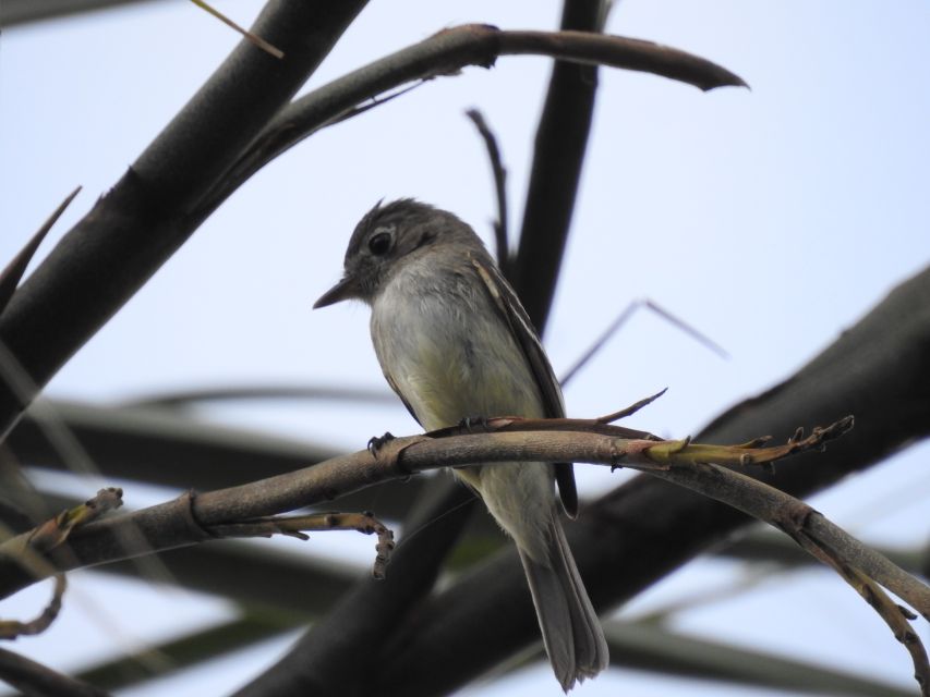 Tulum: Sian Kaan Biosphere Reserve Guided Birdwatching Hike - Group Size and Duration