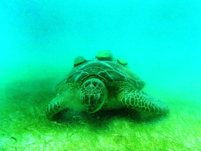 Tulum: Snorkeling Adventure in Cenote and Reef - Discovering the Sac Aktun Cenote