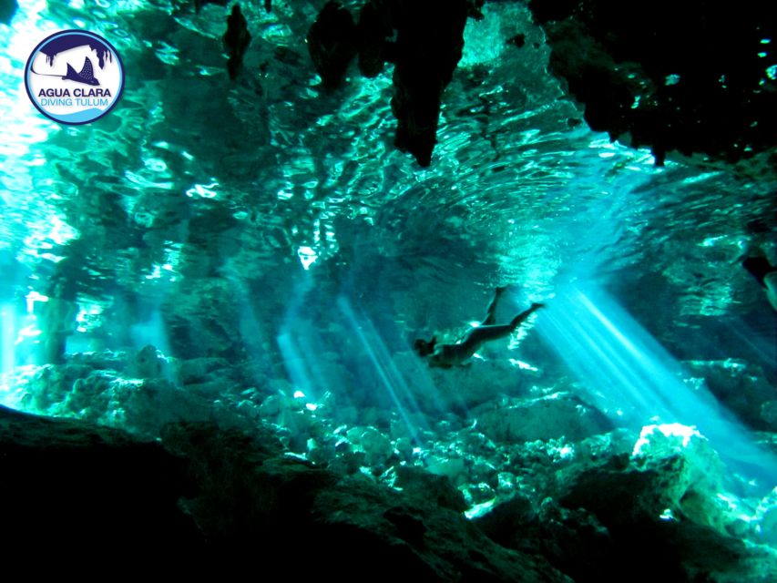 Tulum: Snorkeling Adventure in Cenote and Reef - Adventure Tour Inclusions