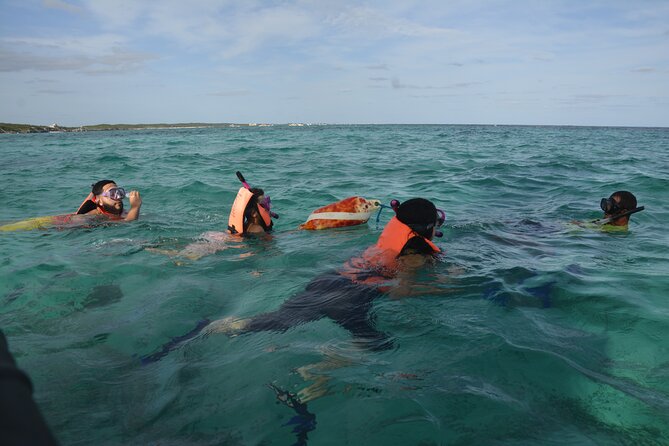 Tulum: Snorkeling and Private Sailing Tour - Snorkeling and Sailing Gear