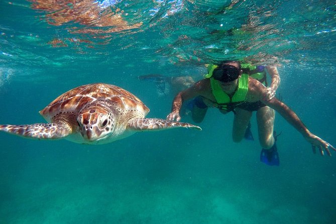 Tulum Snorkelling in Reef and Cenote - Cancellation Policy