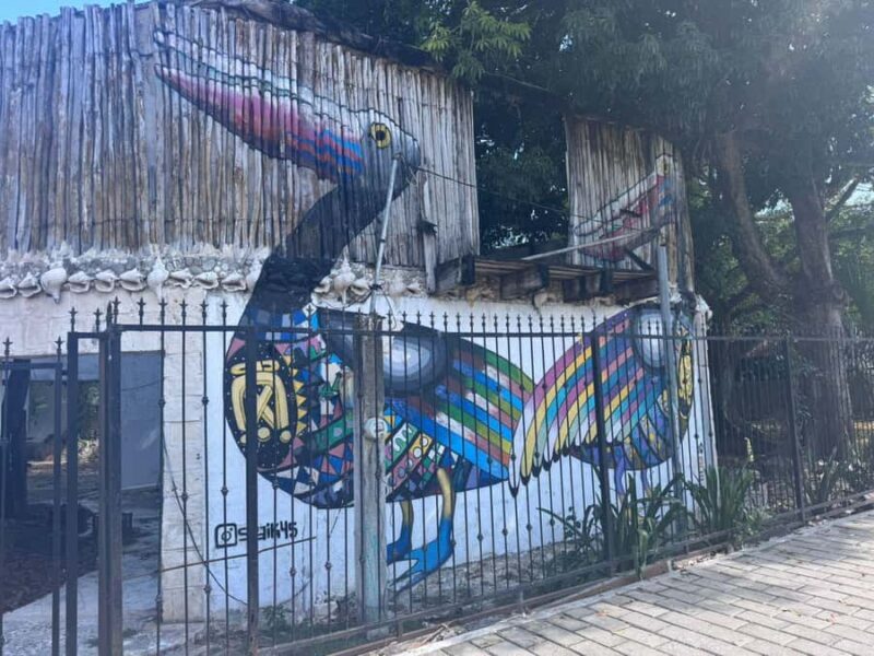 Tulum: Street Art and Gallery Tour - Final Thoughts: Is It Worth It?