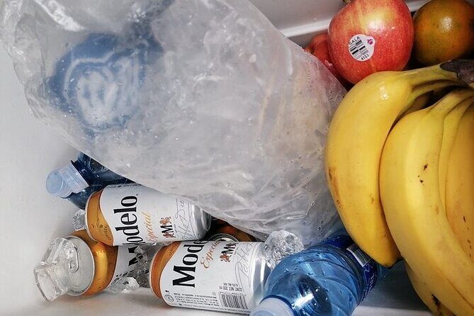 Tulum Transportation Service 24/7 The Most Reliable and safe. - Authentic Experiences and Practical Tips