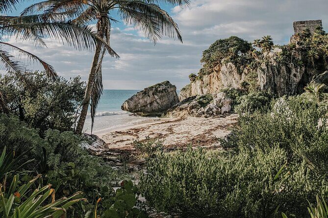 Tulum Transportation Service 24/7 The Most Reliable and safe. - The Sum Up