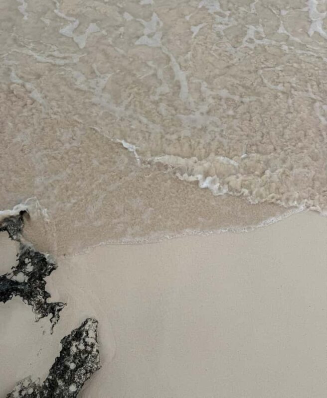 Tulum: Tulum Ruins and Sea Turtle Snorkeling Tour - Beach Break and Natural Content Creation