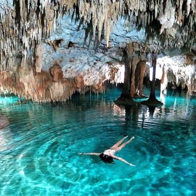 Tulum: Tulum Ruins Underground Cenote & Lunch Private Tour - Diving Into the Underground Cenote