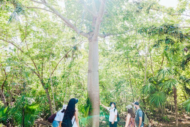 Tulum Unveiled In Expert Guided Tour for True History Enthusiasts - A Closer Look at the Experience