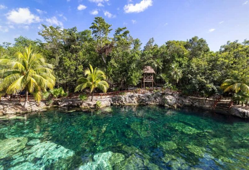 Tulum: Ven a la Luz, Temple, Cenote and Downtown Tour - Who Will Love This Tour?