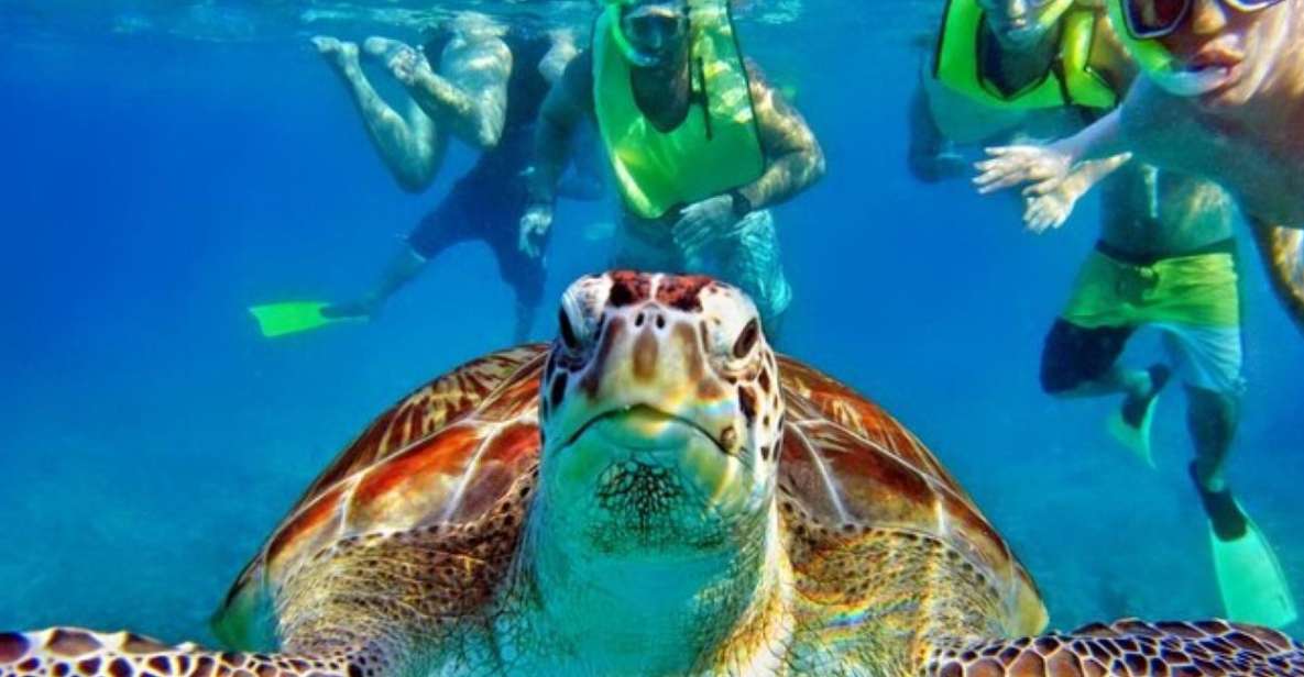 Tulum:Private Mayan Ruins & Swimming With Turtles Experience - Key Points
