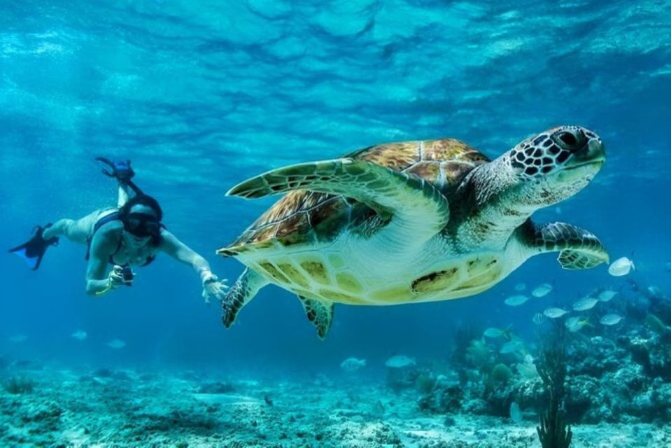 Tulum:Private Mayan Ruins & Swimming With Turtles Experience - Exploring Ancient Mayan Ruins