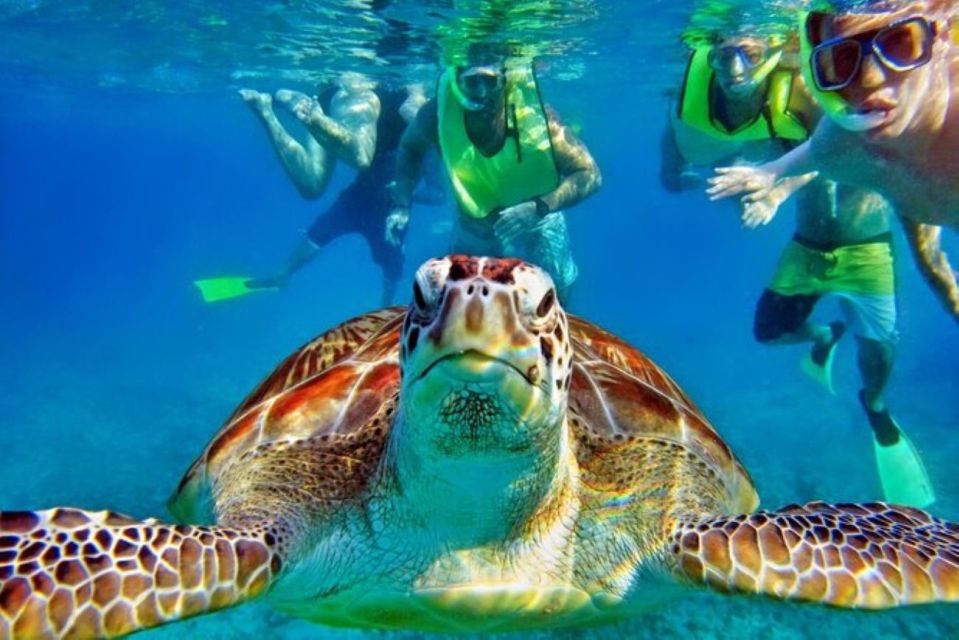 Tulum:Private Mayan Ruins & Swimming With Turtles Experience - Cancellation Policy